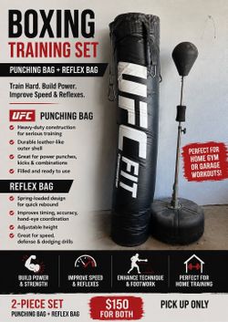 UFC Heavy bag and Reflex trainer