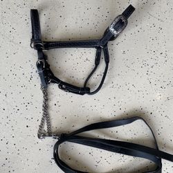 Black Leather Ranch Halter & Lead