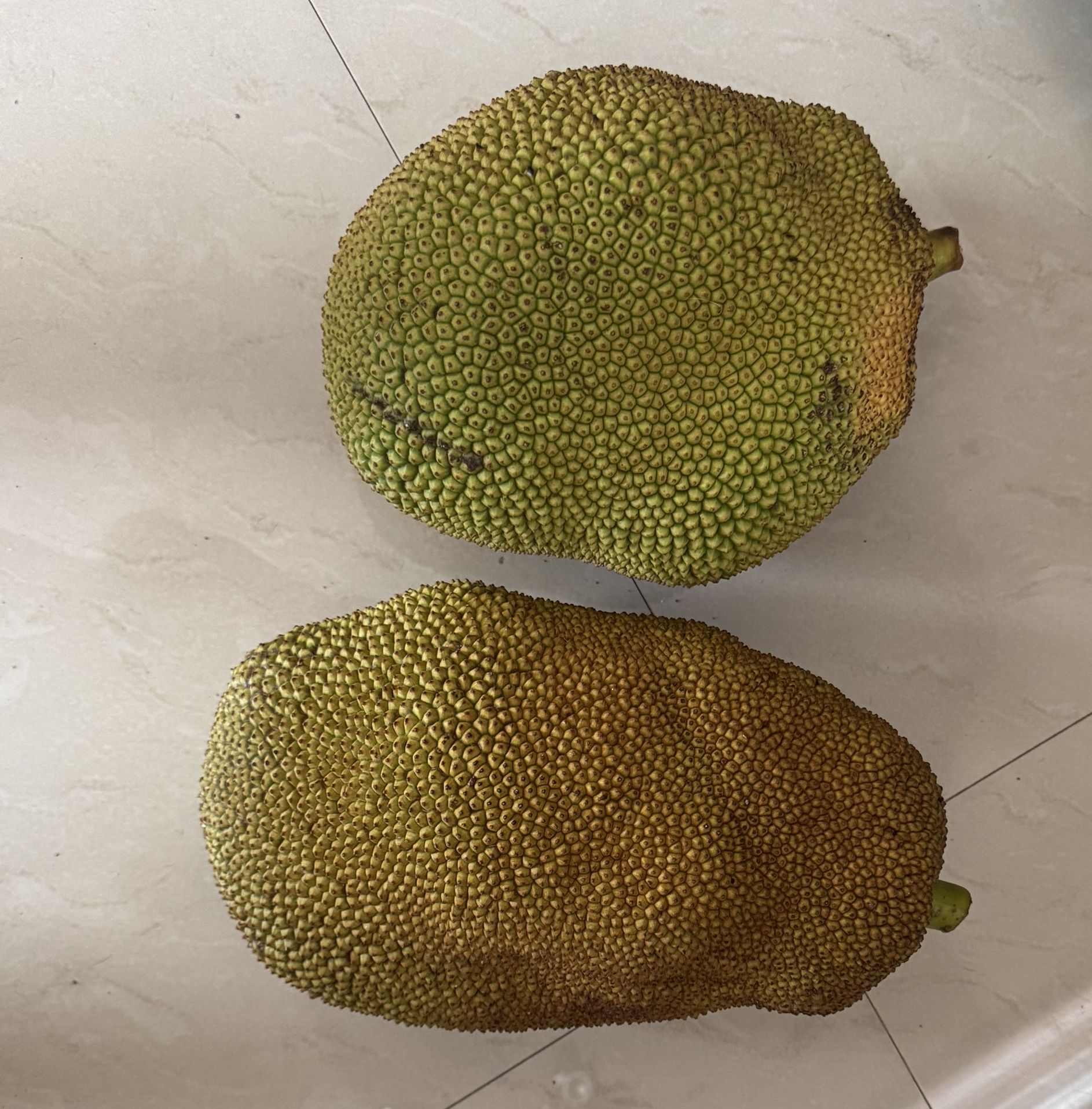 Organic Jackfruit