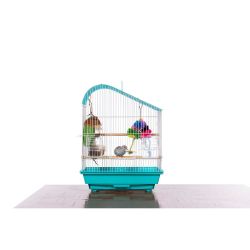 Bird cage different sizes and models new with box