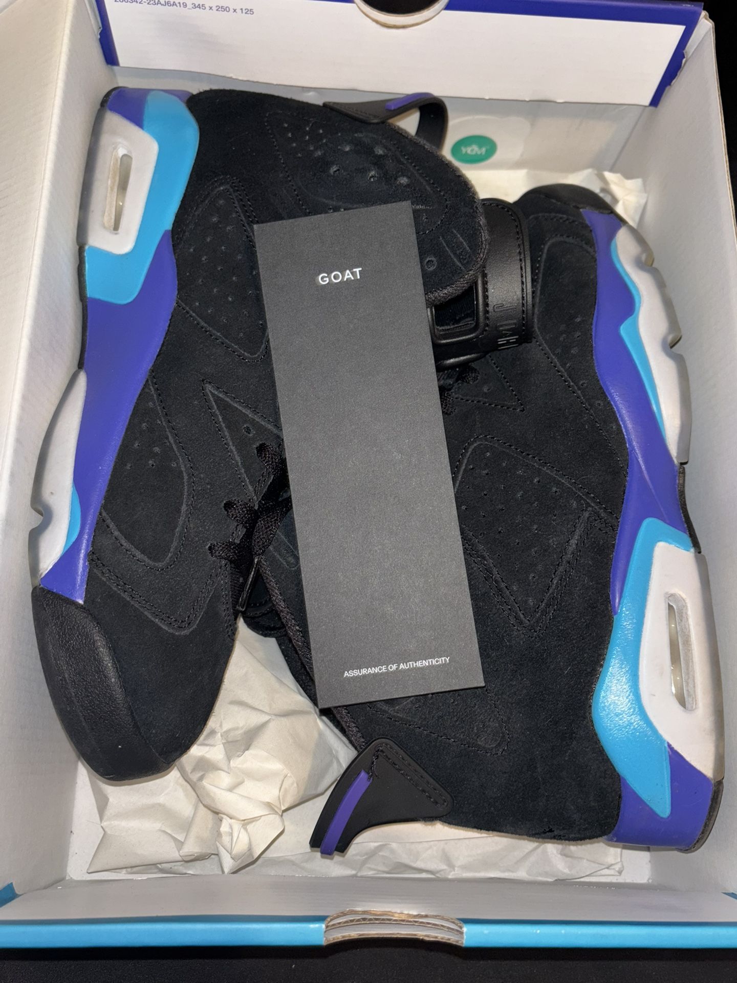 Jordan 6 Aqua