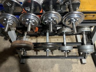 Various Dumbbell Weights 