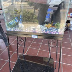 Fish Tank