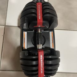 BowFlex - SelectTech 552 Adjustable Dumbbells