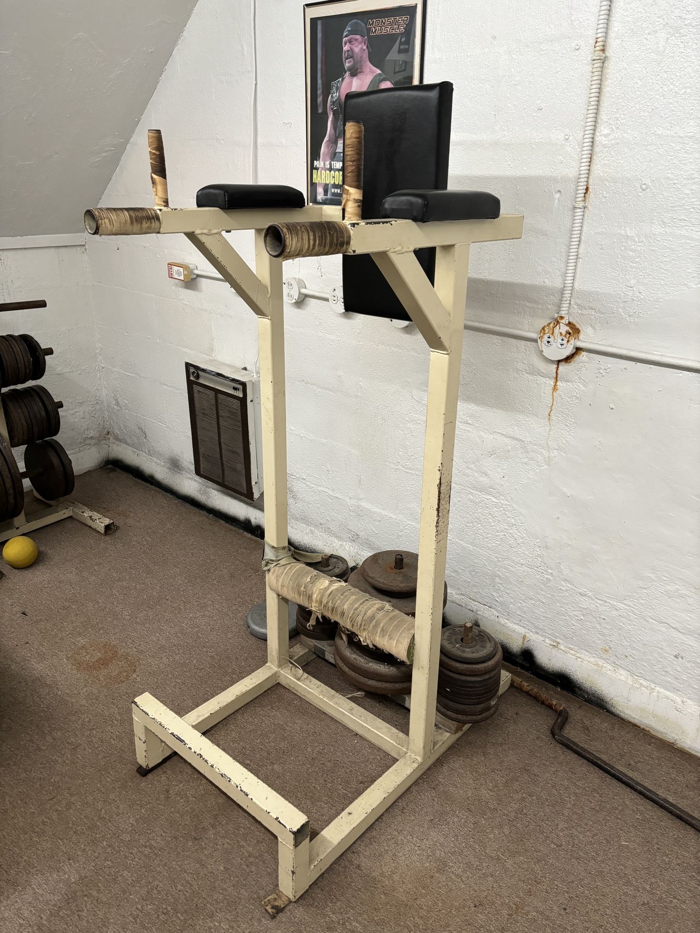 Dip/ab Combo Machine