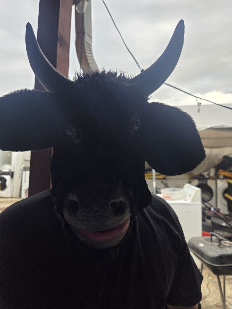 Bull