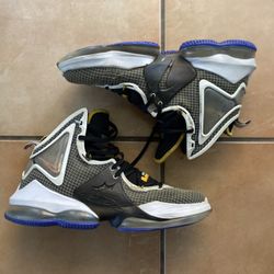 nike lebron 19 hardwood classics, size 10 in men