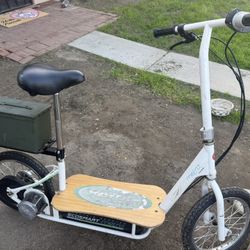 Electric Scooter 
