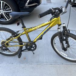 Schwinn Mesa Kids 16” Bike