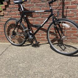 Great Bike 120 Adults 