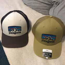 Patagonia Trucker Style Ball Cap