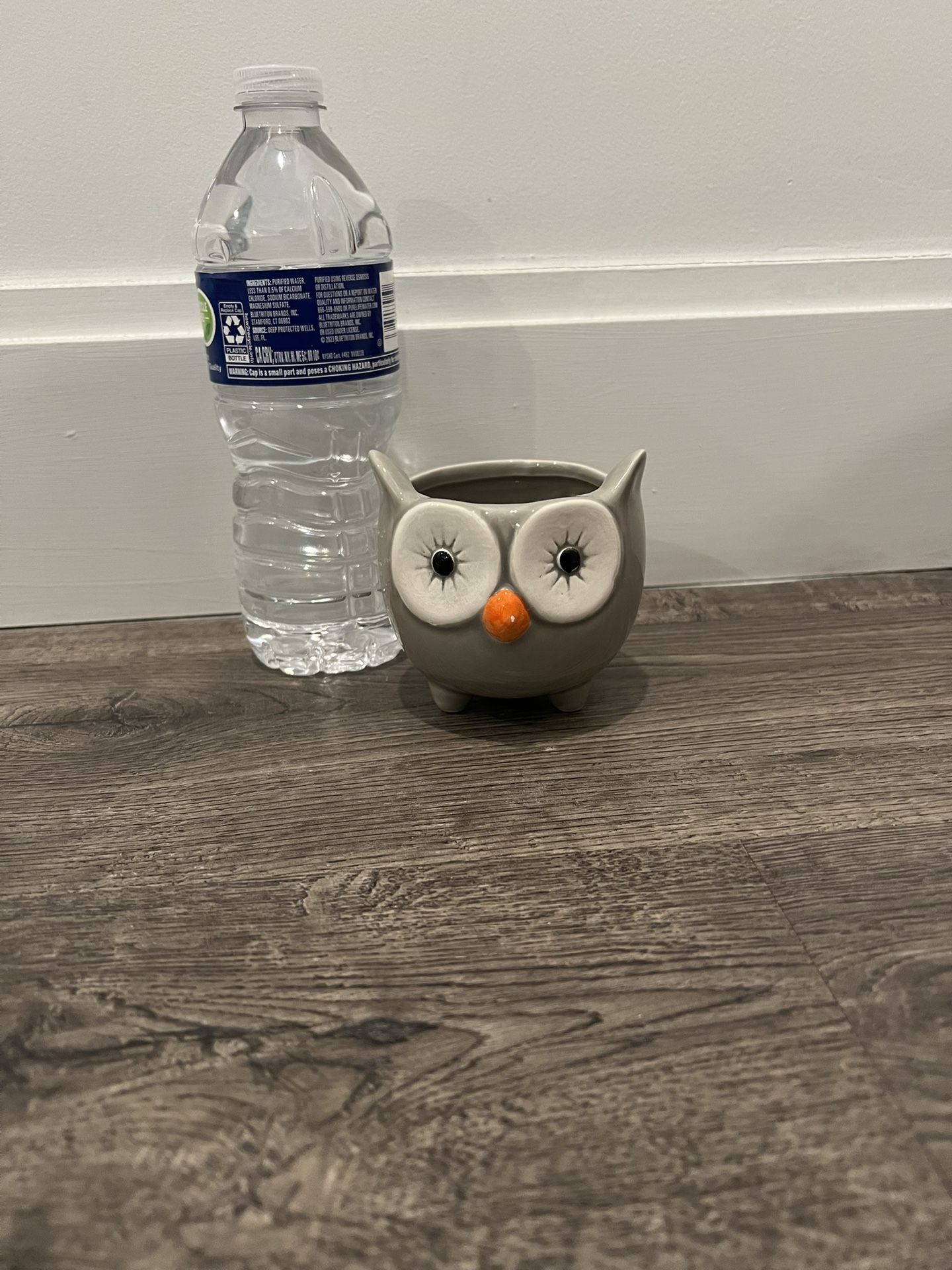 SMALL Owl Flower Pot🦉