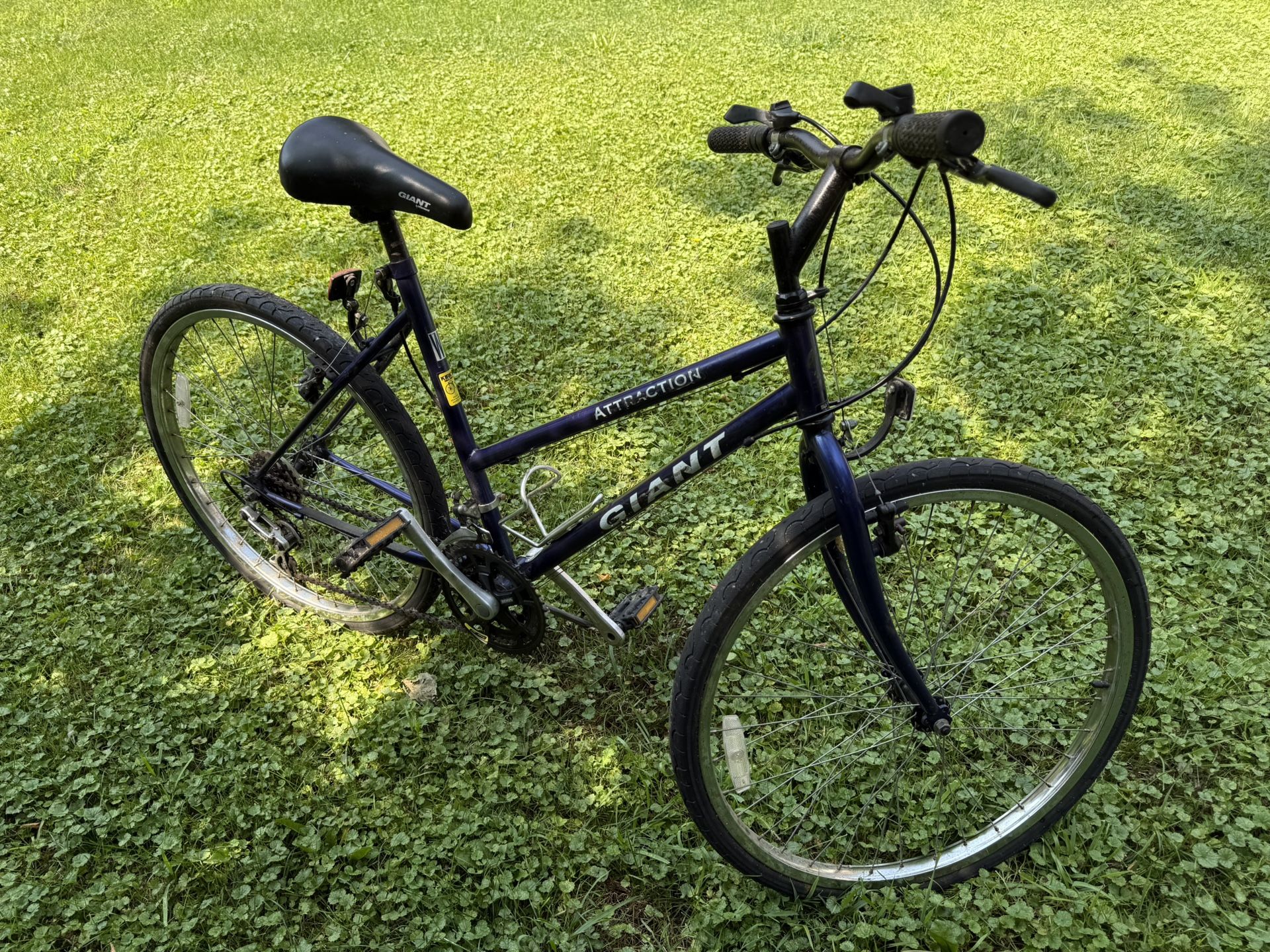 Bicycle Woman’s Giant $100