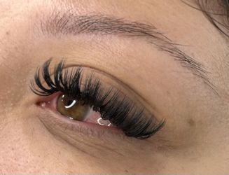 Lash Trays