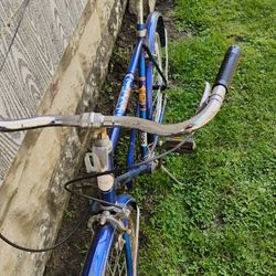 Vintage 3 Speed What