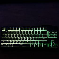 steelseries keyboard and razor mouse 