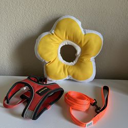 Small Dog harness, leash, toy 