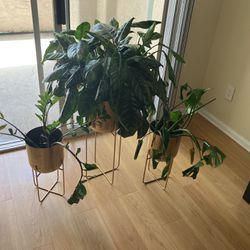 3 Set Gold Pots With Plants 
