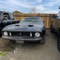 1973 Mustang 