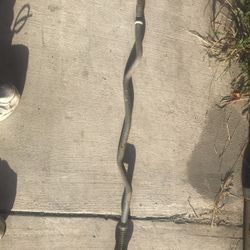 CURL WEIDER BAR 