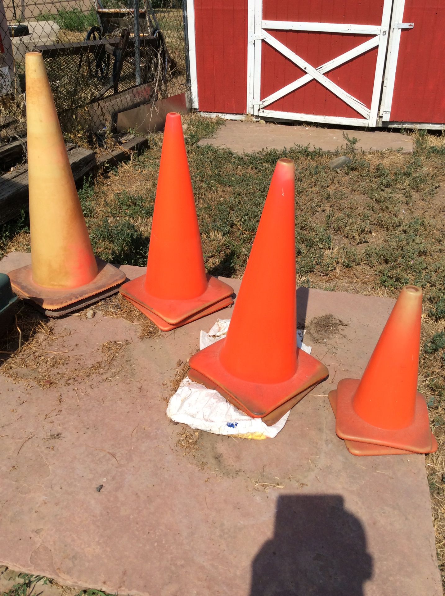 Free cones