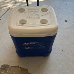 Igloo Cooler