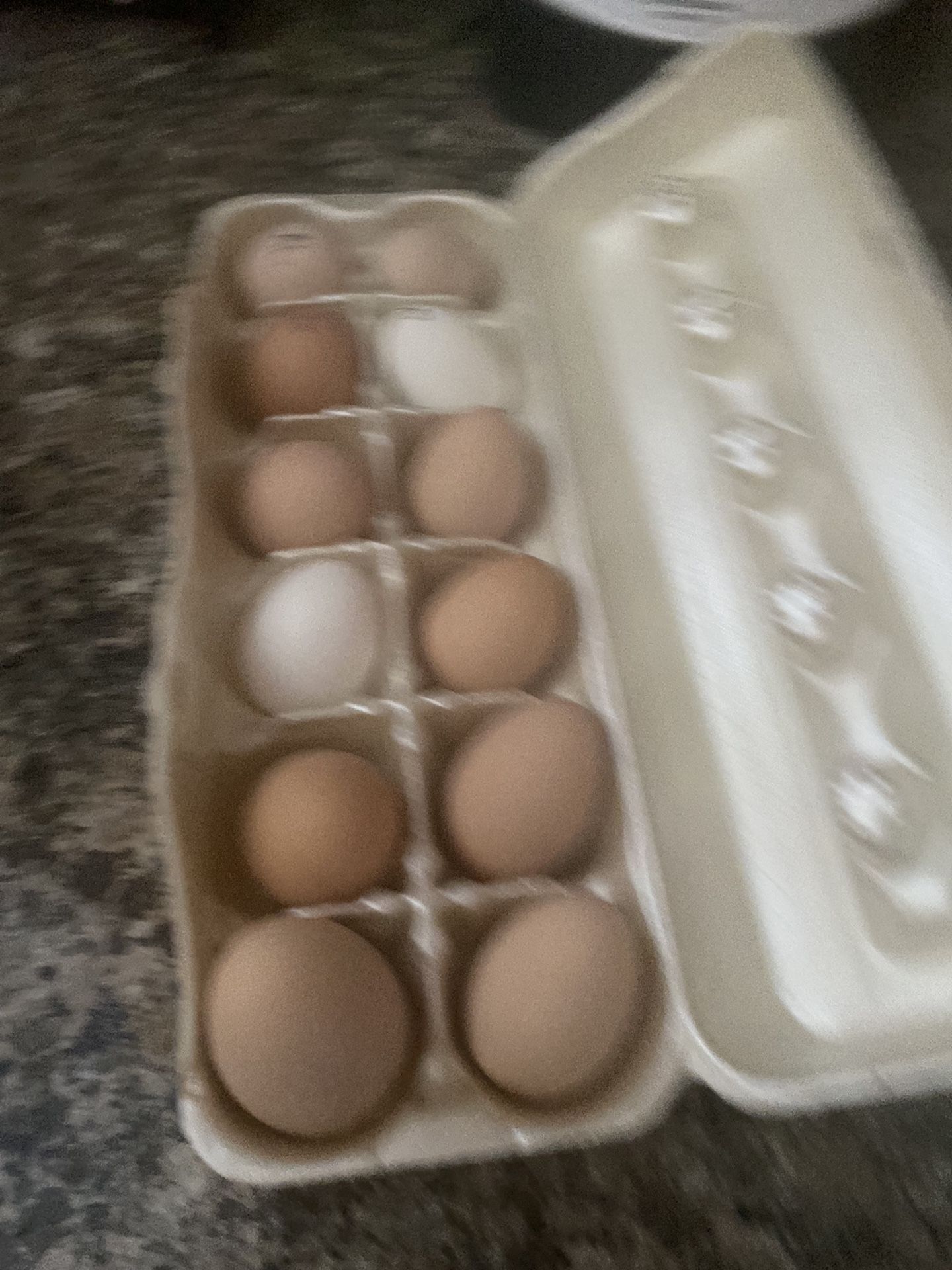Chickens And Coop For Sale