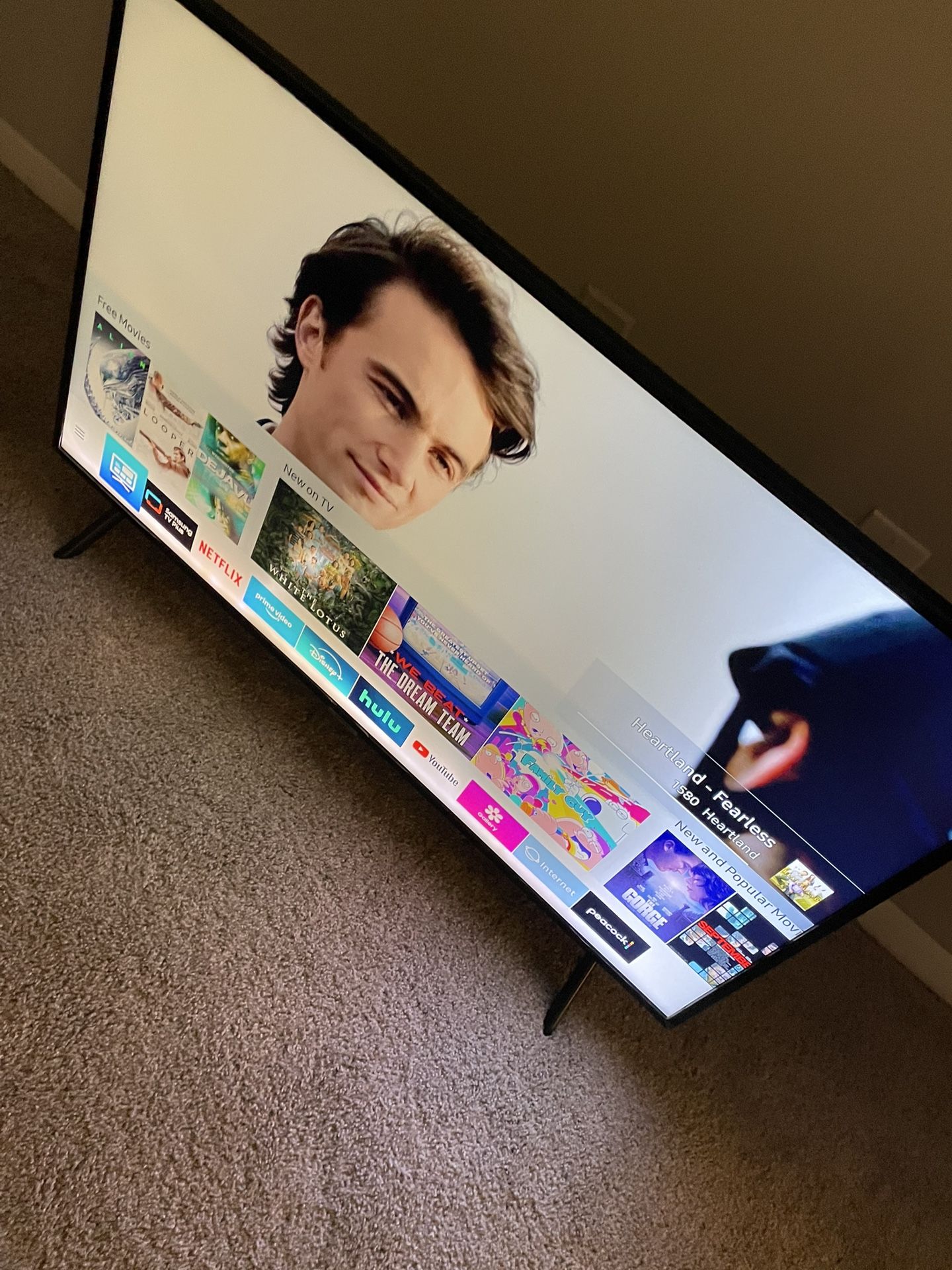 Samsung 49 Inch Tv