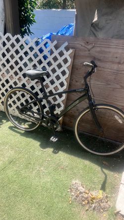 Beach cruiser