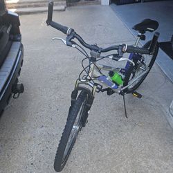 TRIAX Aluminum Mountain Bike
