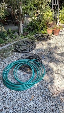Garden Hoses Lot – Green and Black