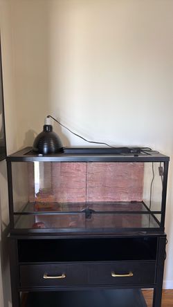 40 Gallon Thrive Reptile Terrarium Setup w/ Stand, Lights & Accessories