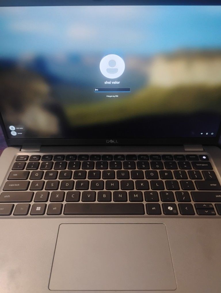 2024 Dell 5450
