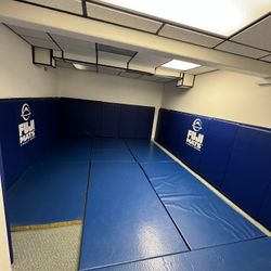 Jiu Jitsu Fuji Floor Mats (6x) And Wall Pads (x20)