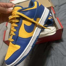 Nike Dunks