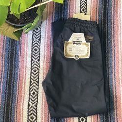 Levi’s skateboarding Regular Straight Pants 