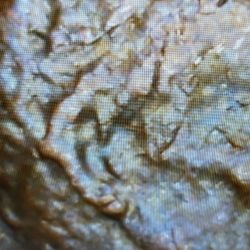 1982 D Penny Wait 3.2 Graim