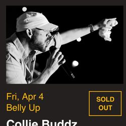 Collie Buddz  Concert