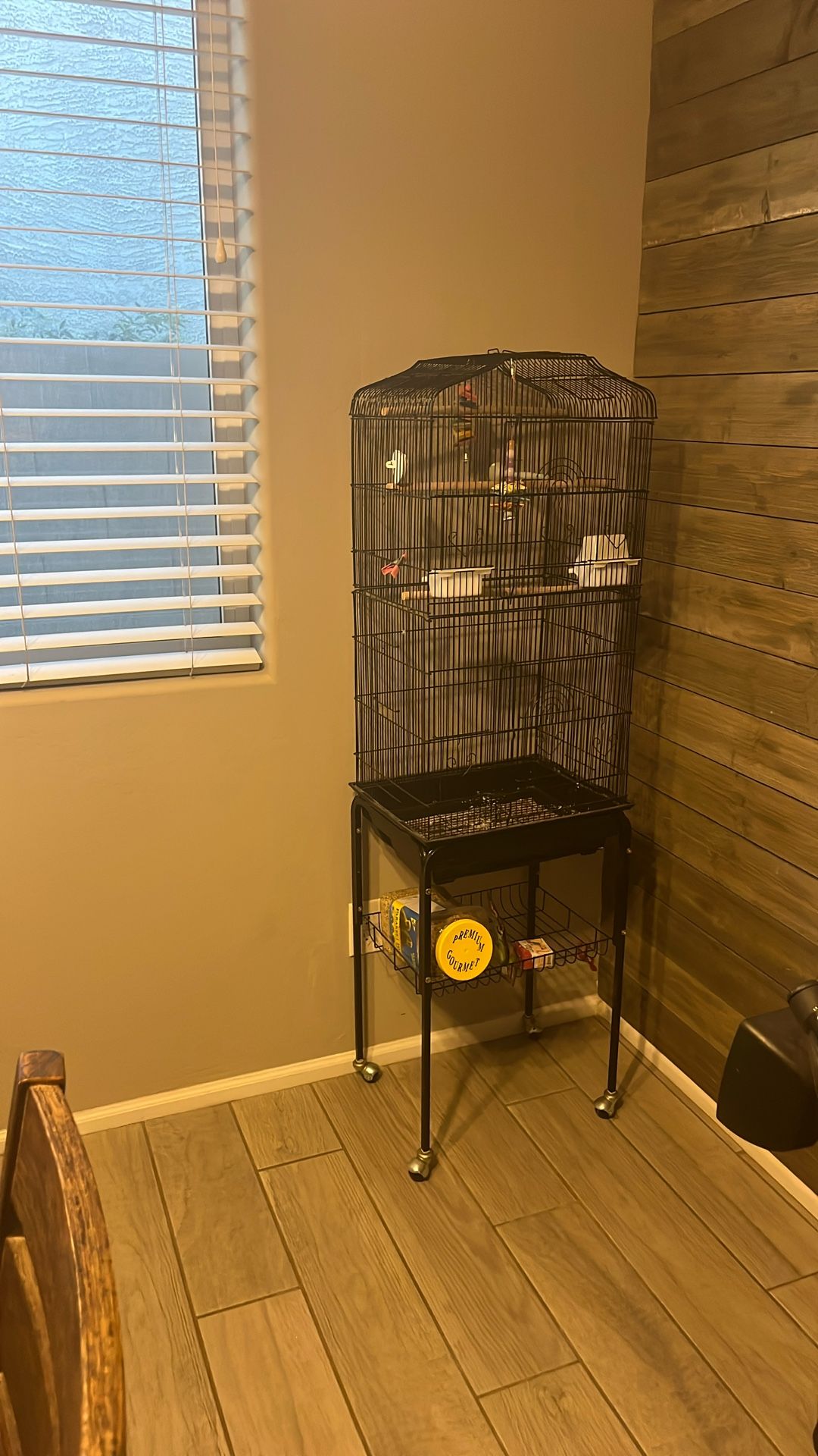 Bird Cage