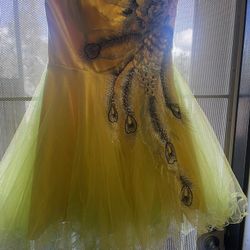 Peacock dress Size Medium