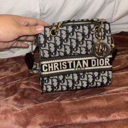  Christian Dior Bag