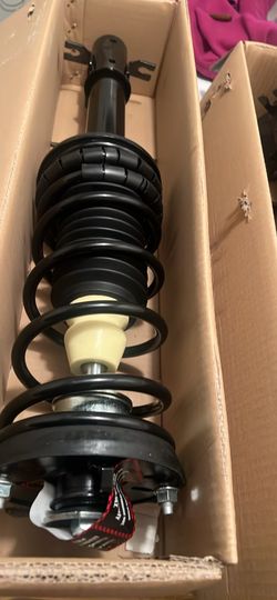 2001 Ford Escort Rear Stuts