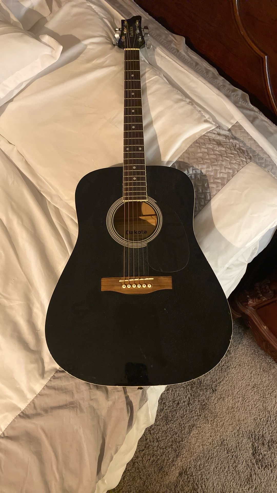 Dakota DG 100 Acoustic Guitar 