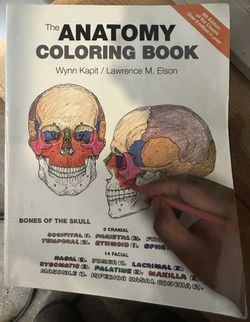 The anatomy coloring book