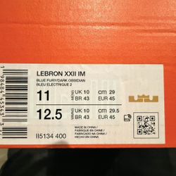Lebron Fury 
