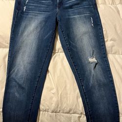 Gently Used Democracy AbSolutions Jeans