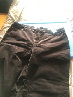 Pants Brand New