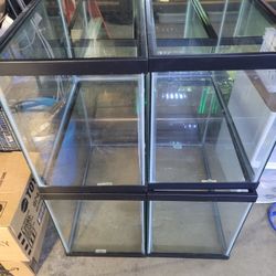 20gal Fish Tank