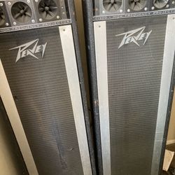 Pair Of Peavey Speakers 