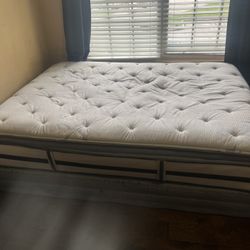 Queen Mattress and Bed 